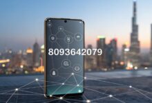 8093642079