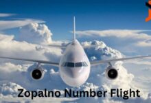 zopalno number flight