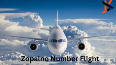 zopalno number flight