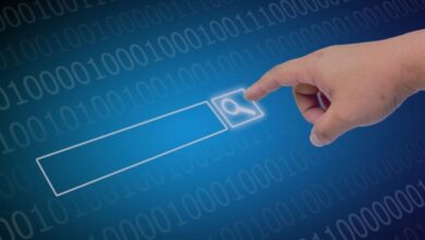 search box optimization byrankstar