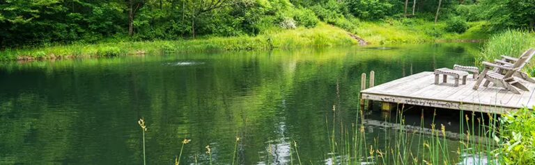 Effective Koi Pond Maintenance in the Chicagoland Area: Ensuring a Healthy Aquatic Environment