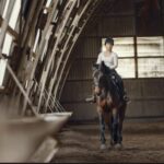 How "Instant" Barns are Disrupting the Luxury Equestrian Market