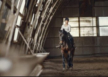 How "Instant" Barns are Disrupting the Luxury Equestrian Market
