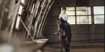 How "Instant" Barns are Disrupting the Luxury Equestrian Market