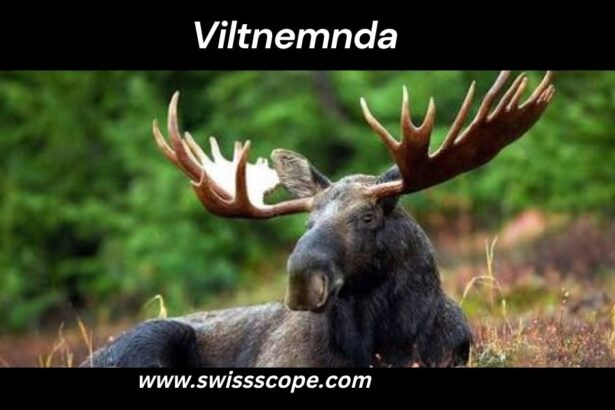 Viltnemnda