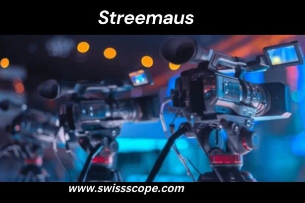 Streemaus